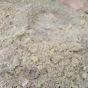 熟兔粪热气腾腾打折了每袋满重的有130斤包上车