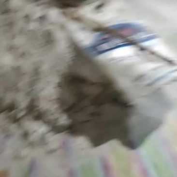 红薯粉条