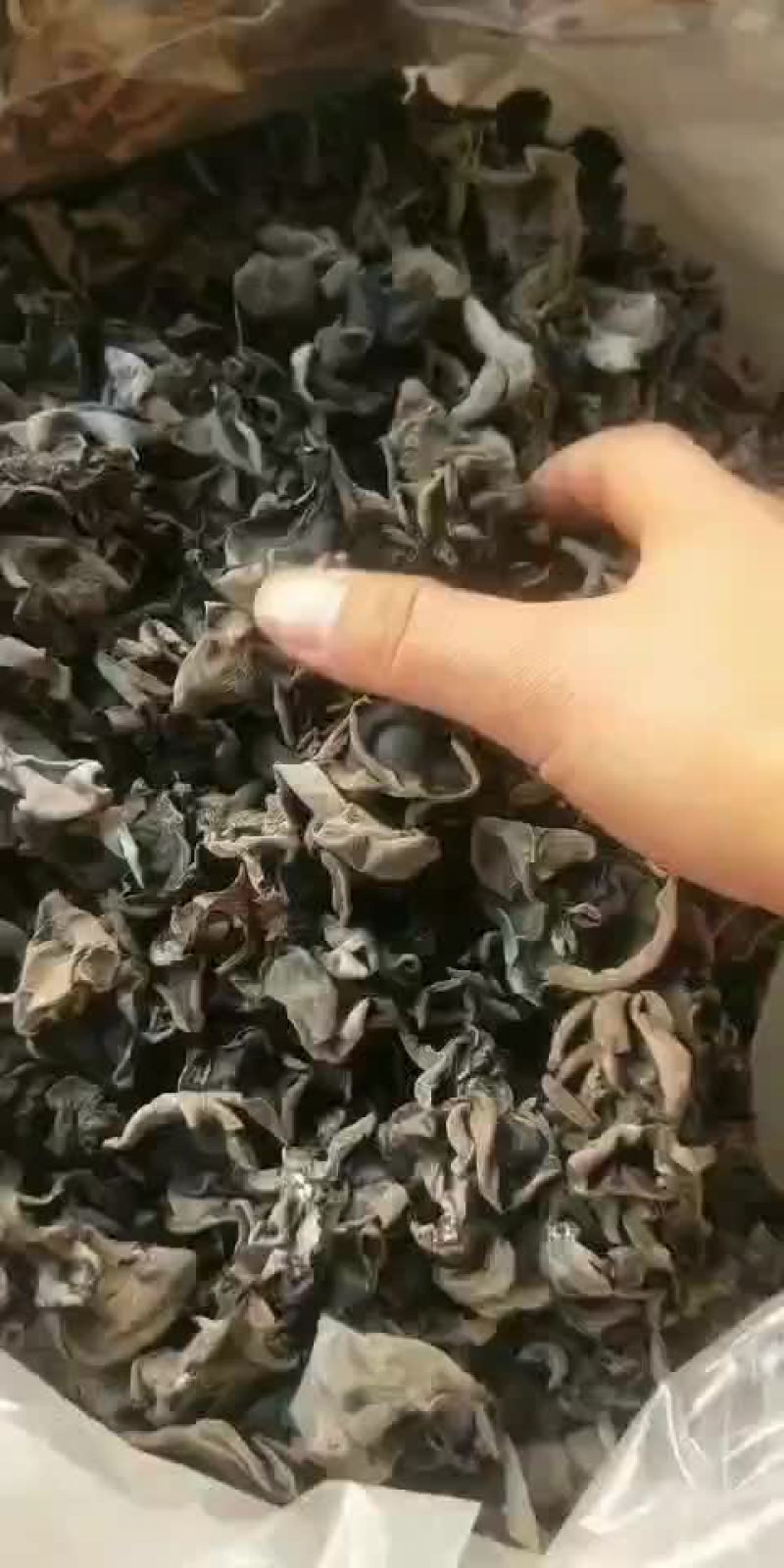 东北木耳，1.8泡出来黑厚
