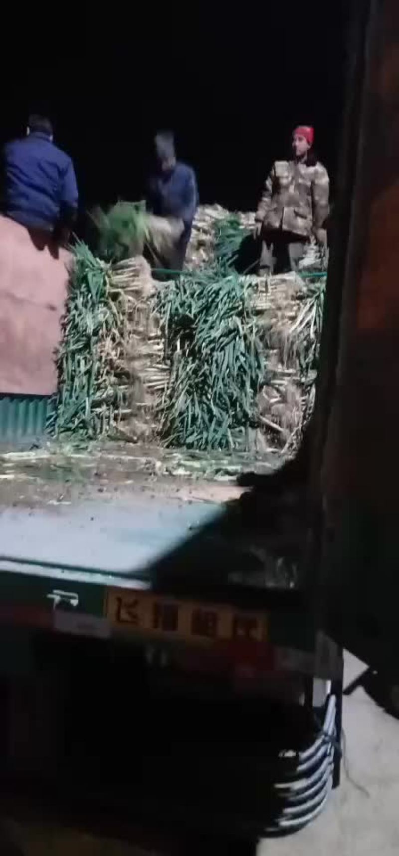 大葱
