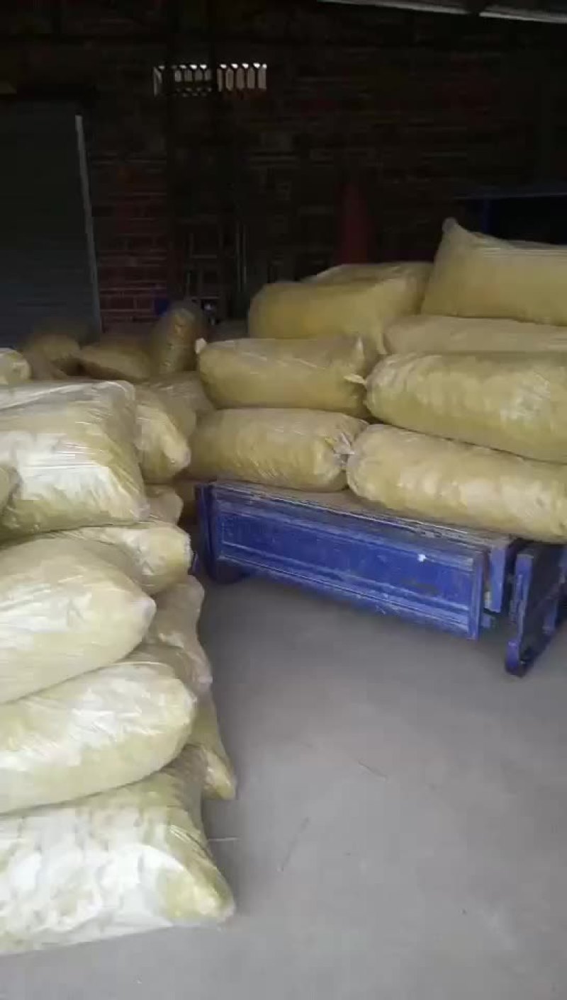 马蹄始兴万亩马蹄种植基地大量供应市场加工厂电商外贸出口