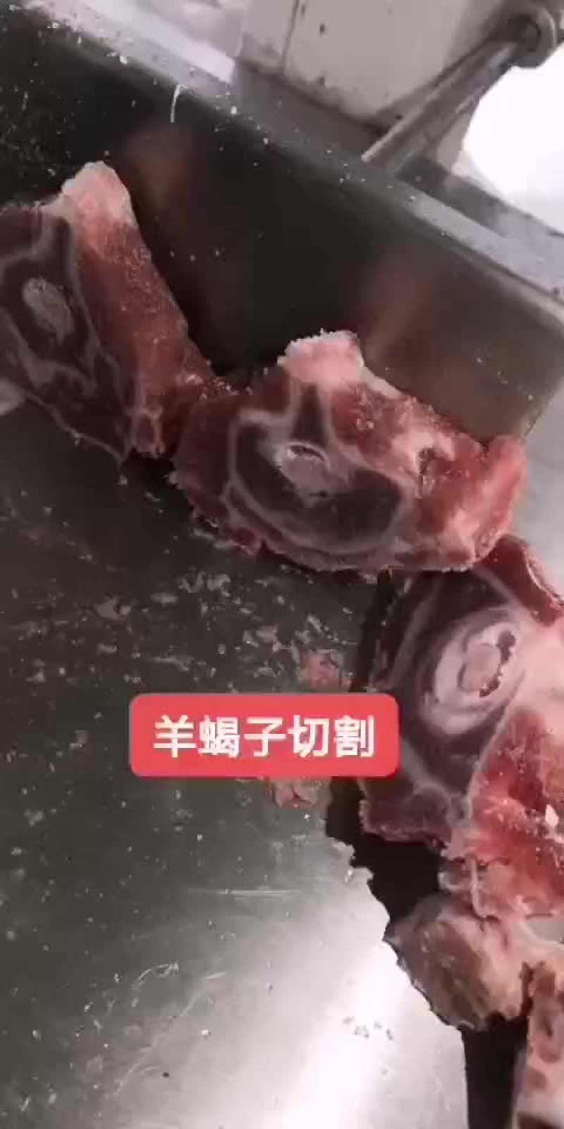 羊蝎子