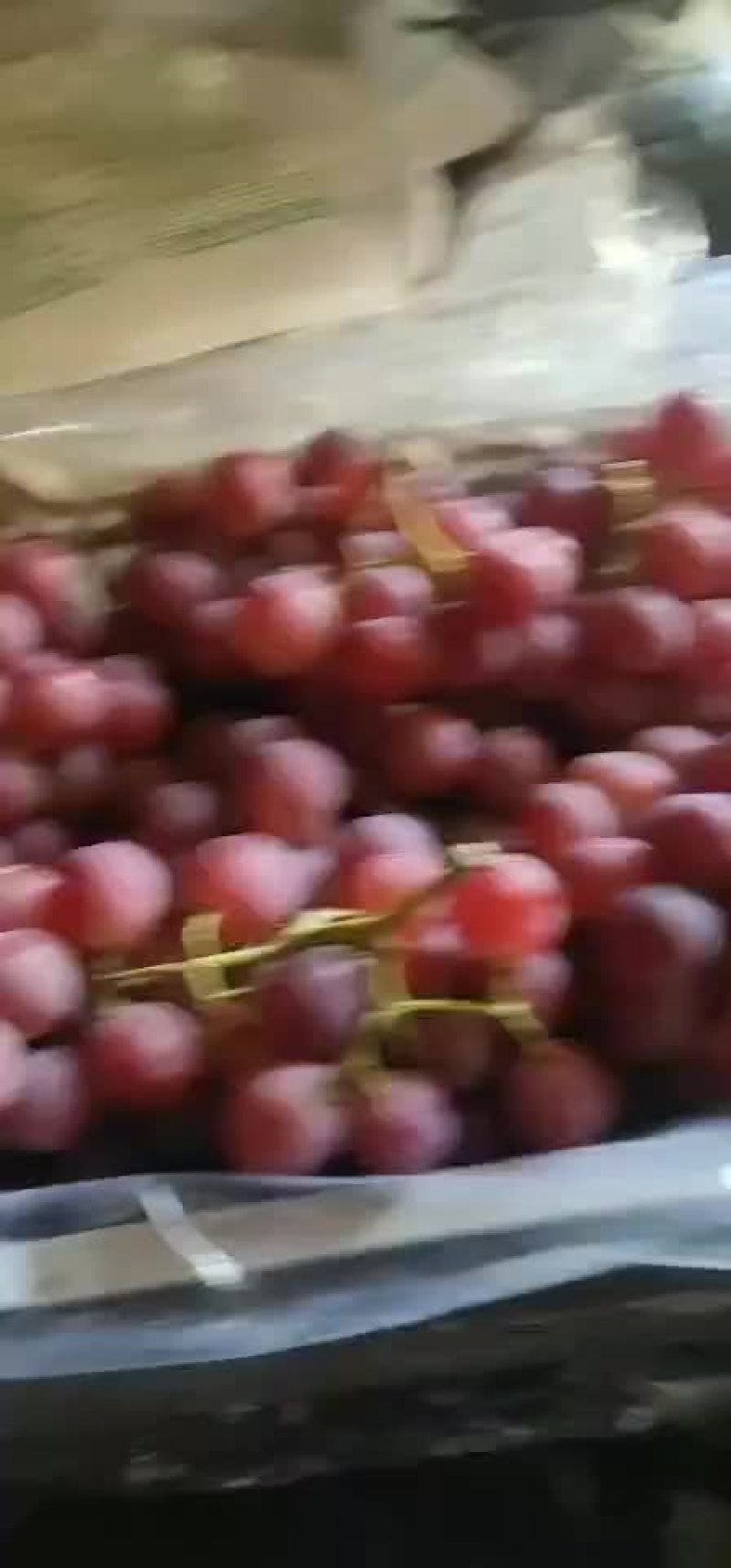 红提