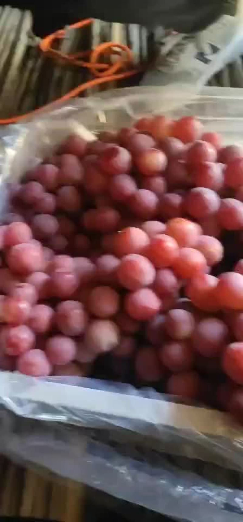 红提