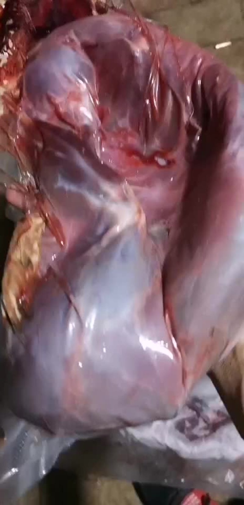 兔肉