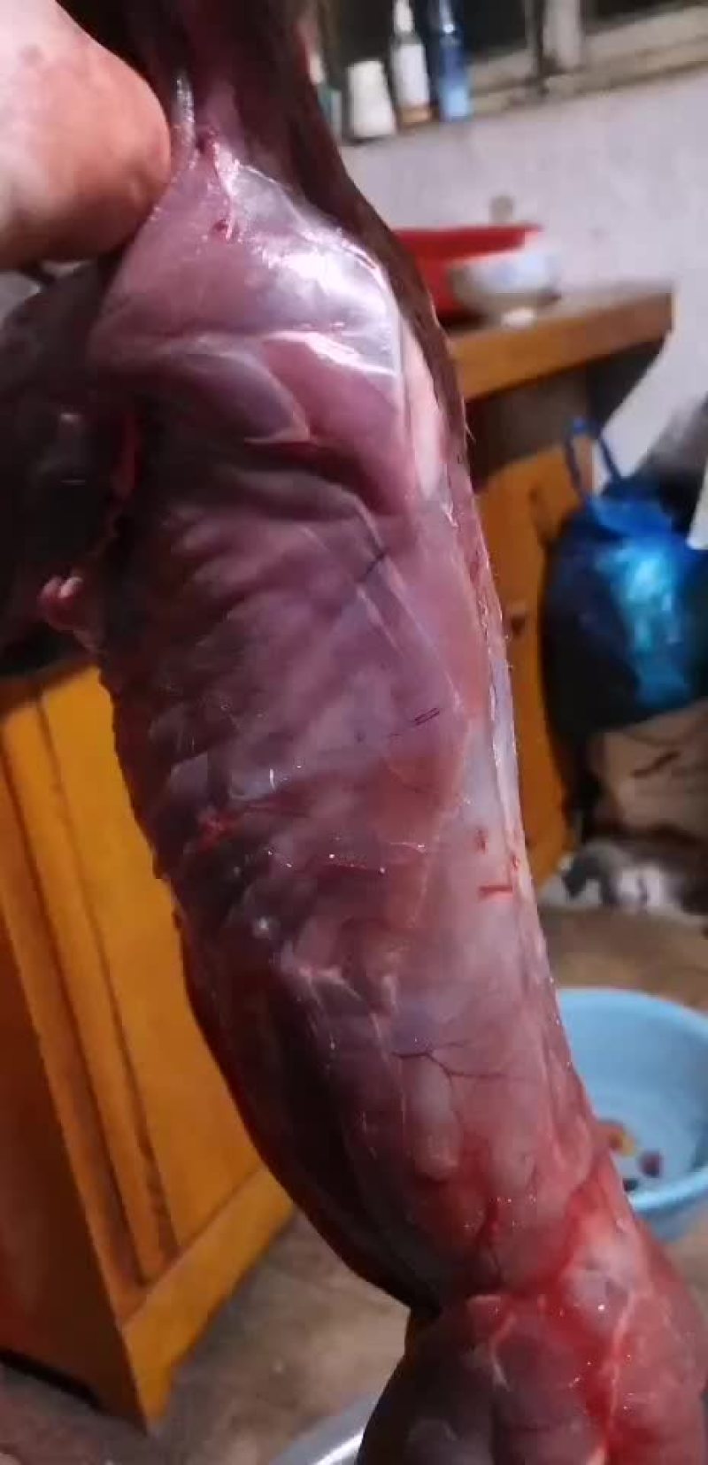 兔肉