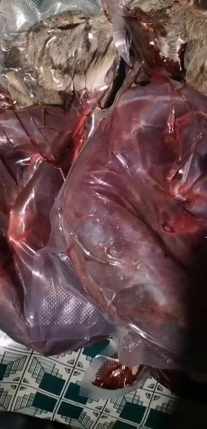 兔肉