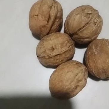 薄皮核桃。