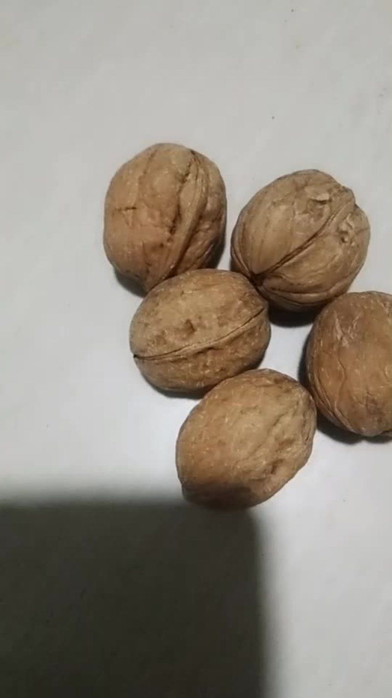 薄皮核桃。