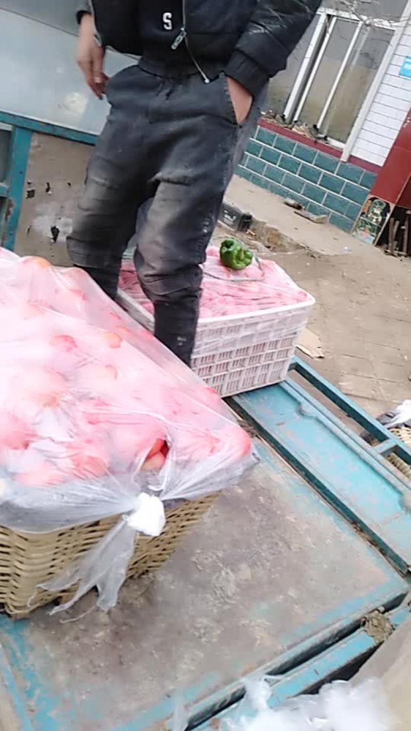 商河县西红柿。