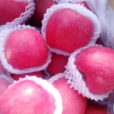 顶味鲜果