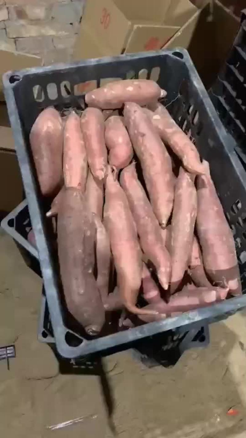 烟薯