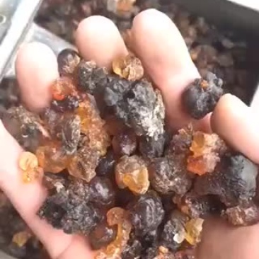 桃胶通货大量出货