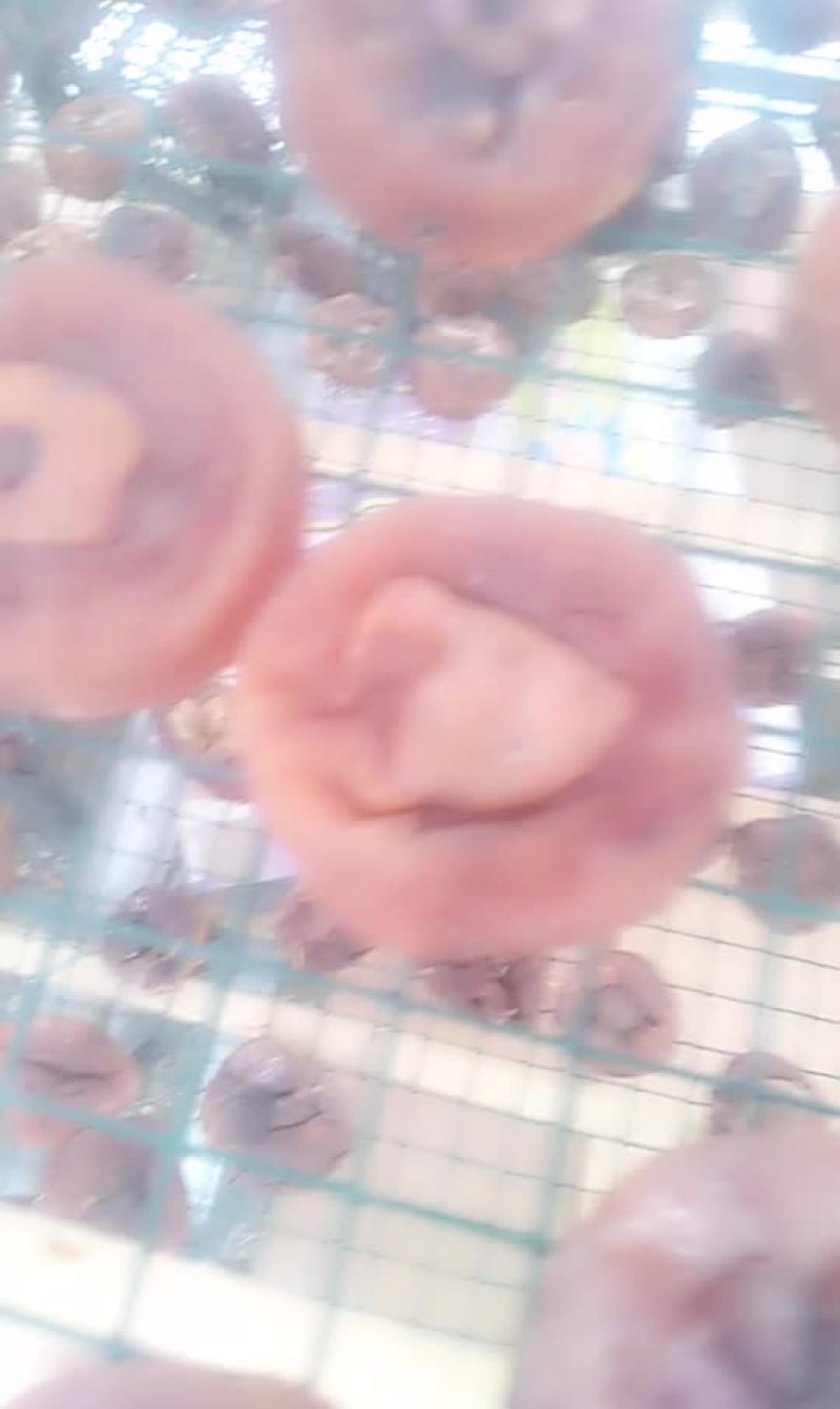 柿子饼