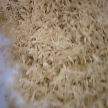 豆丝