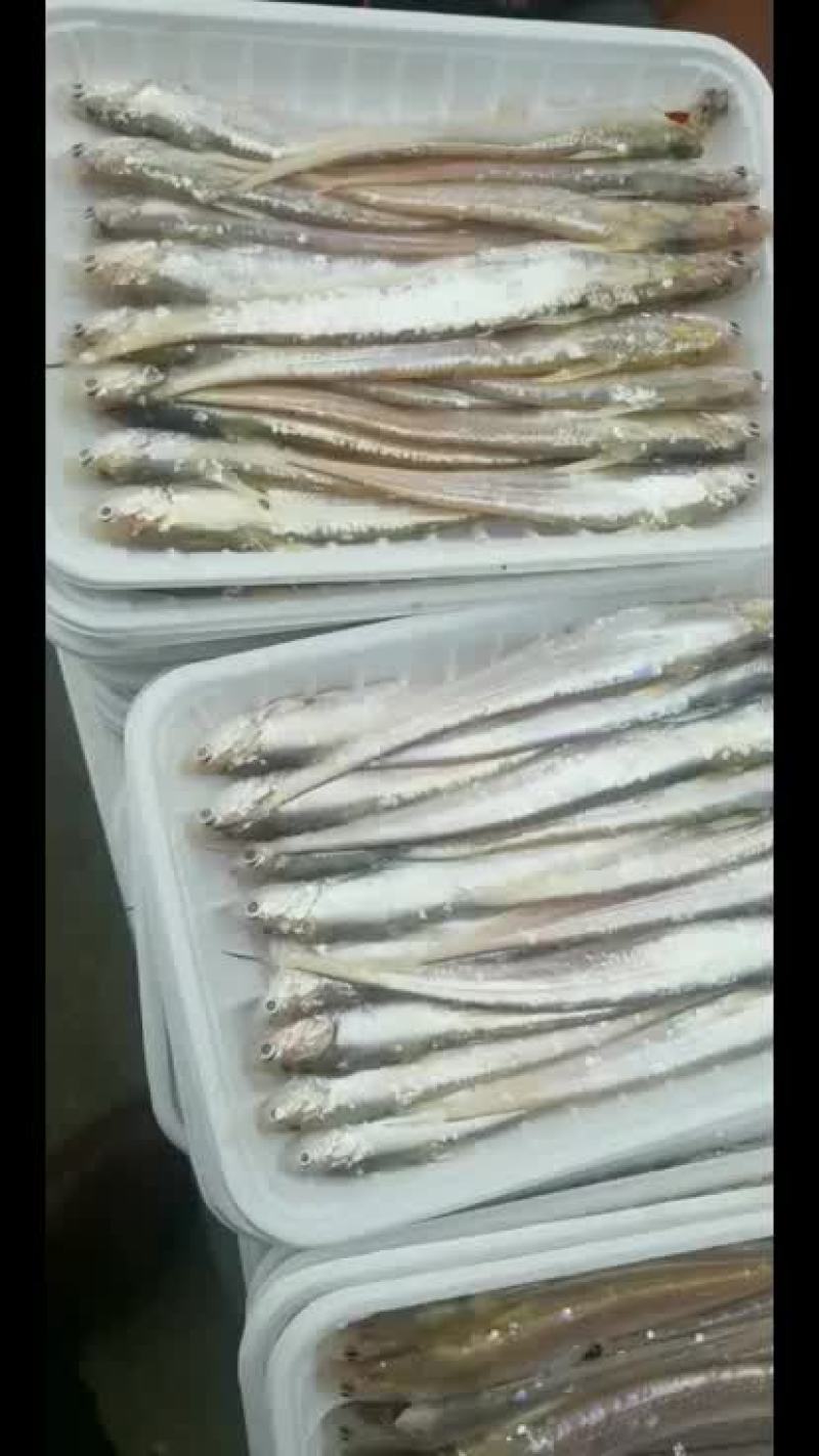 淡水毛刀鱼需要的联系我，好质量