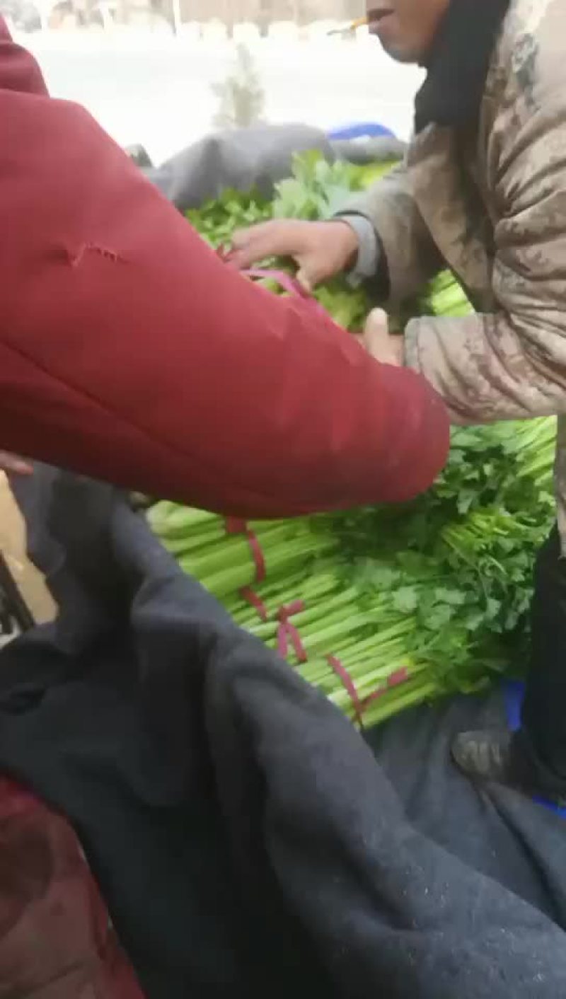 西芹