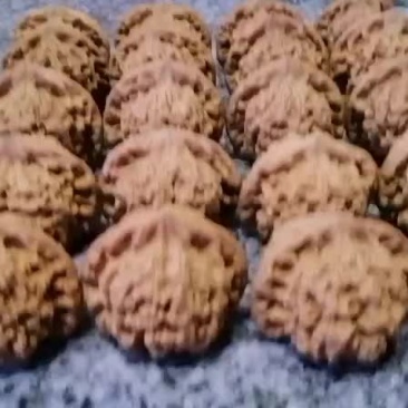 文玩核桃