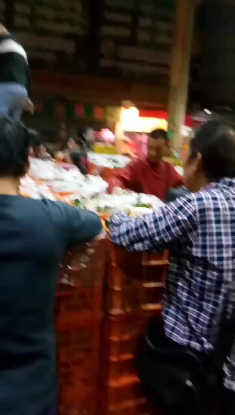 沙糖桔