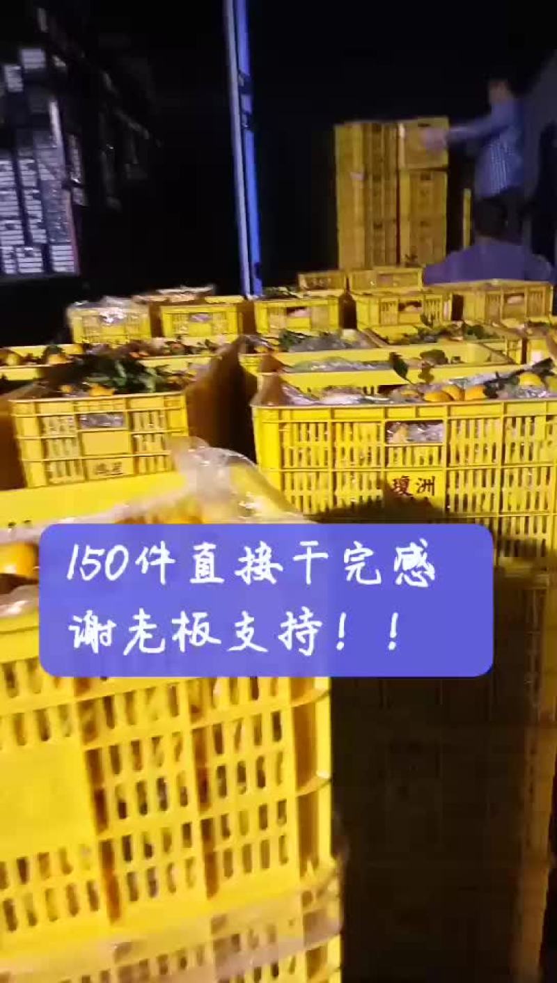 沙糖桔