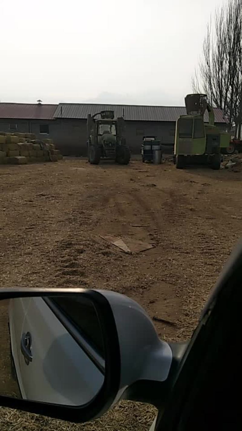 草业