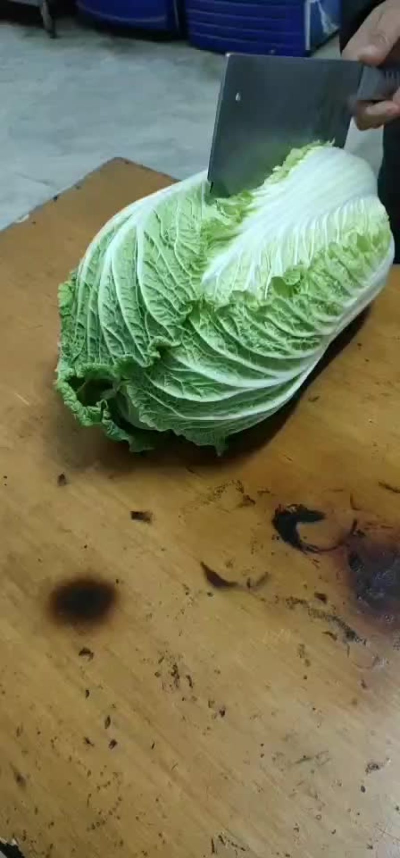 【精品】白菜，品种多样，量大从优，欢迎选购