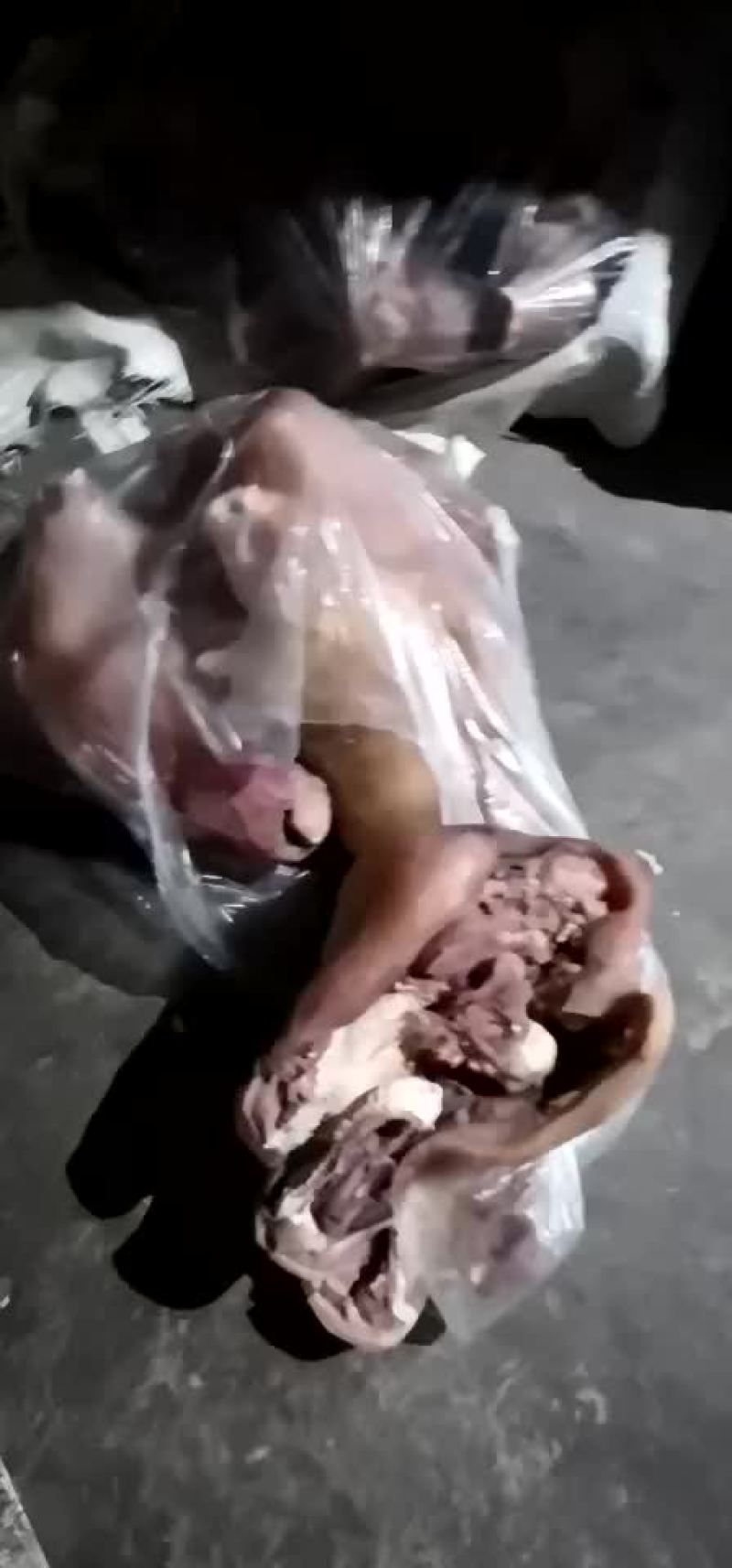 安徽宿州牛肉肉鲜牛头加工火烧退毛干净卫生可整可领可实体店加工