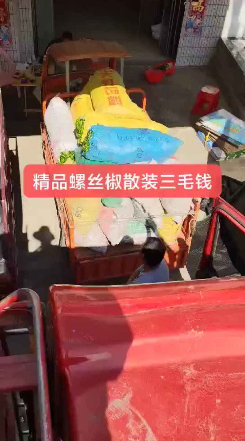 螺丝椒欢迎散装一步到位