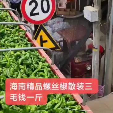 螺丝椒欢迎散装一步到位