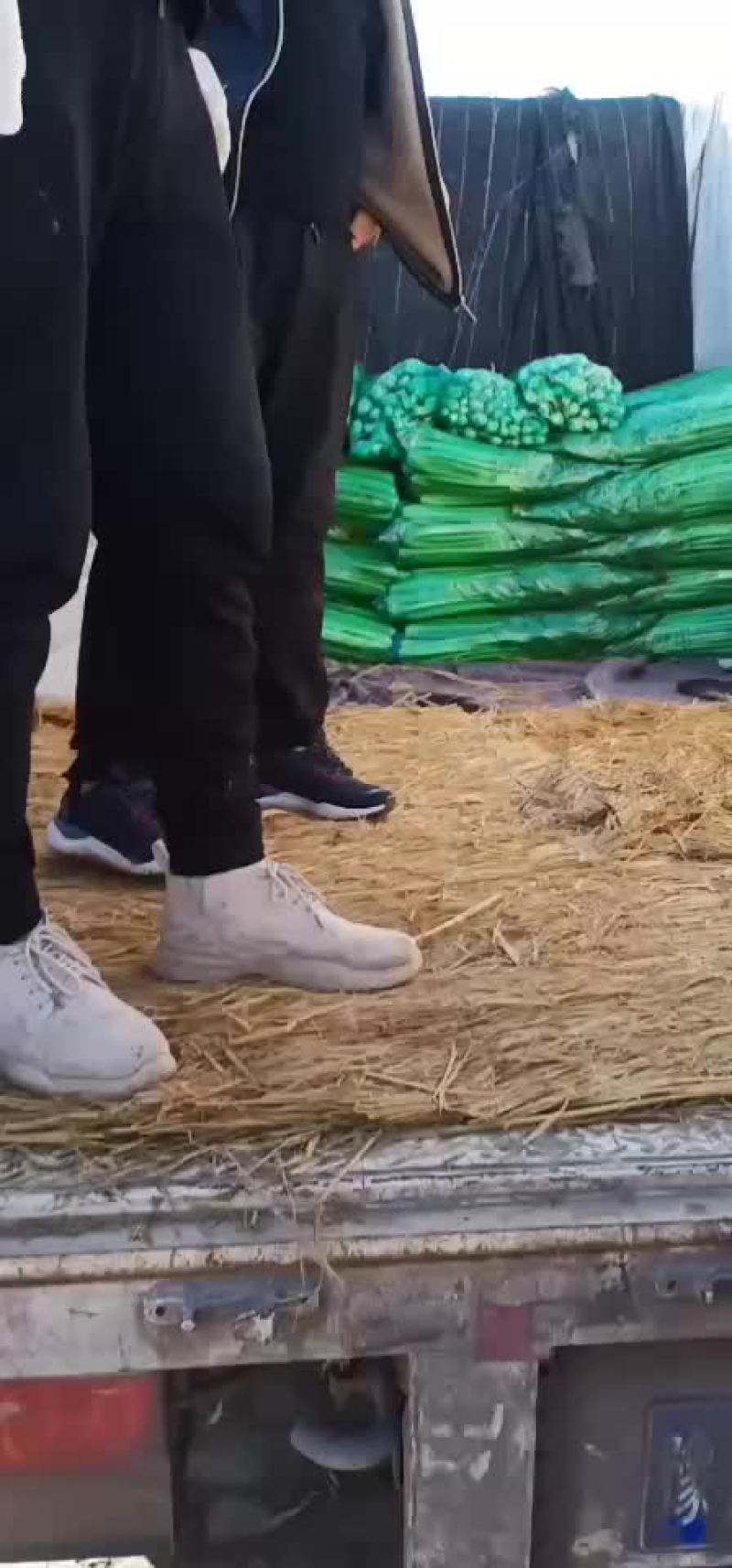 芹菜，优质西芹，有需要的联系了