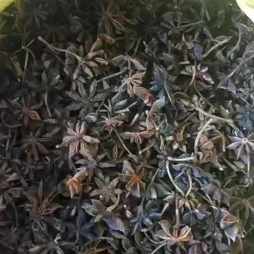 大红八角，自然晒干八角干