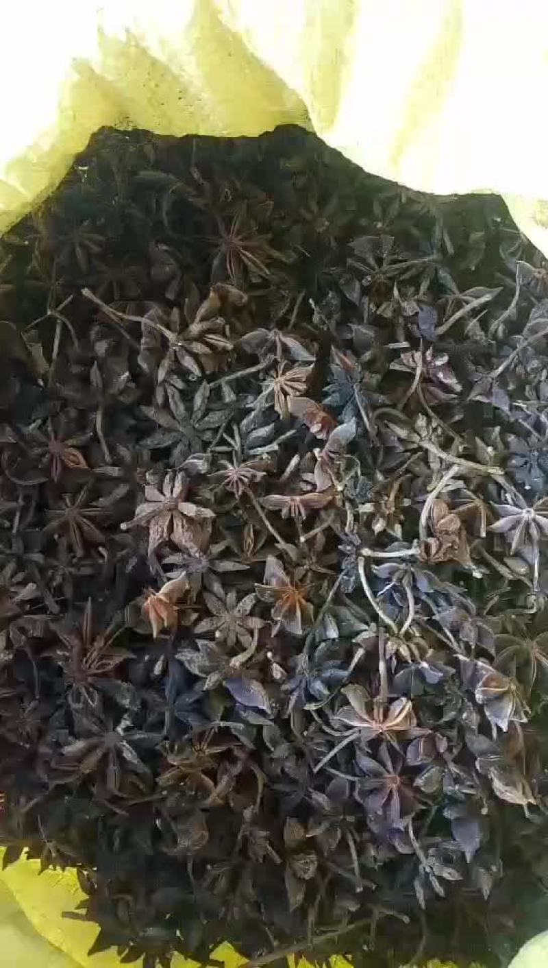 大红八角，自然晒干八角干