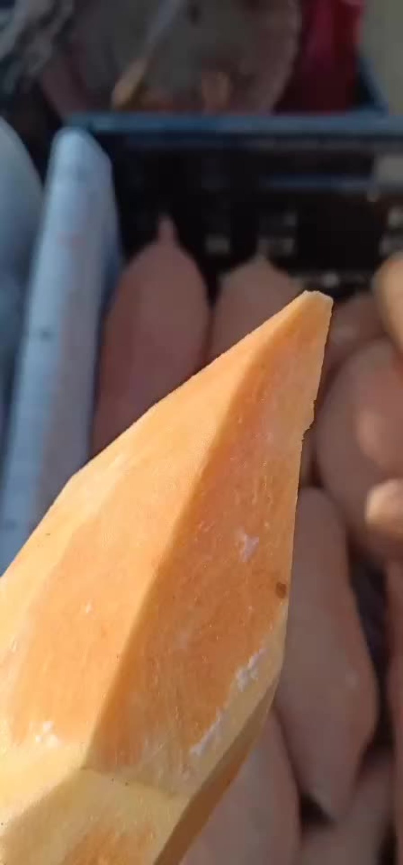 精品龙薯九