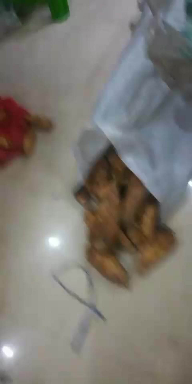 冬笋批发