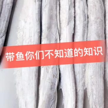 手工切的带鱼段