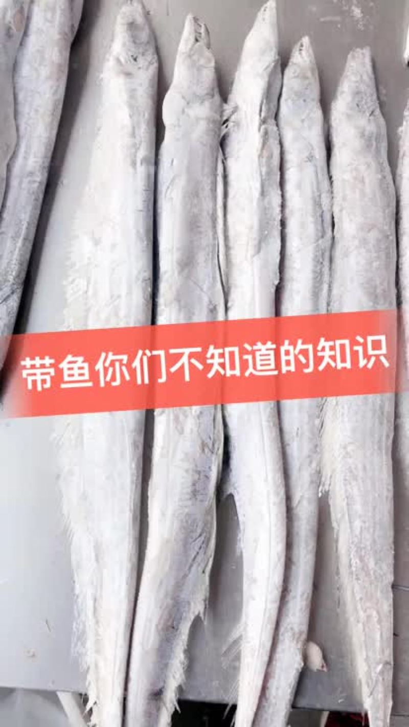 手工切的带鱼段