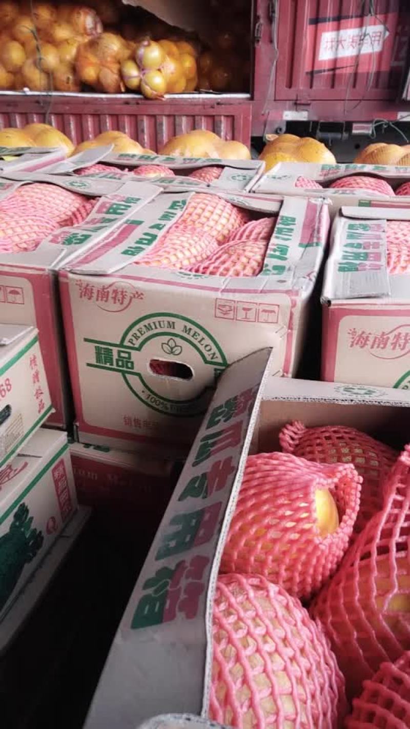 黄河蜜瓜