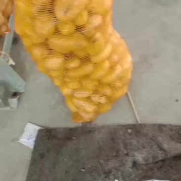 土豆