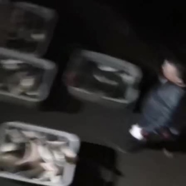 大量批发