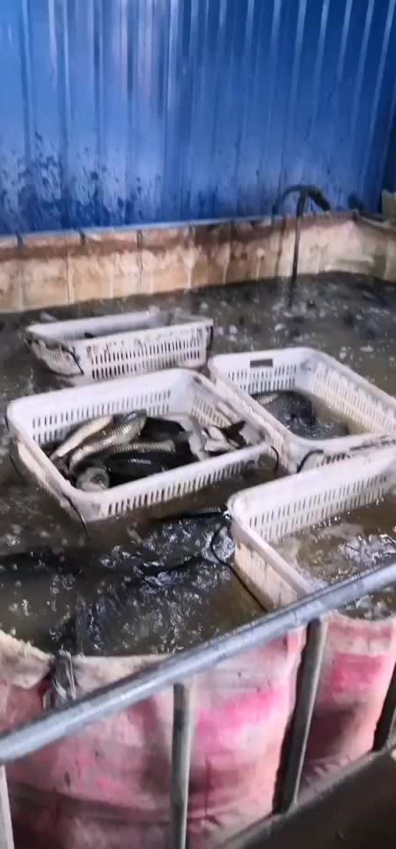 大量批发