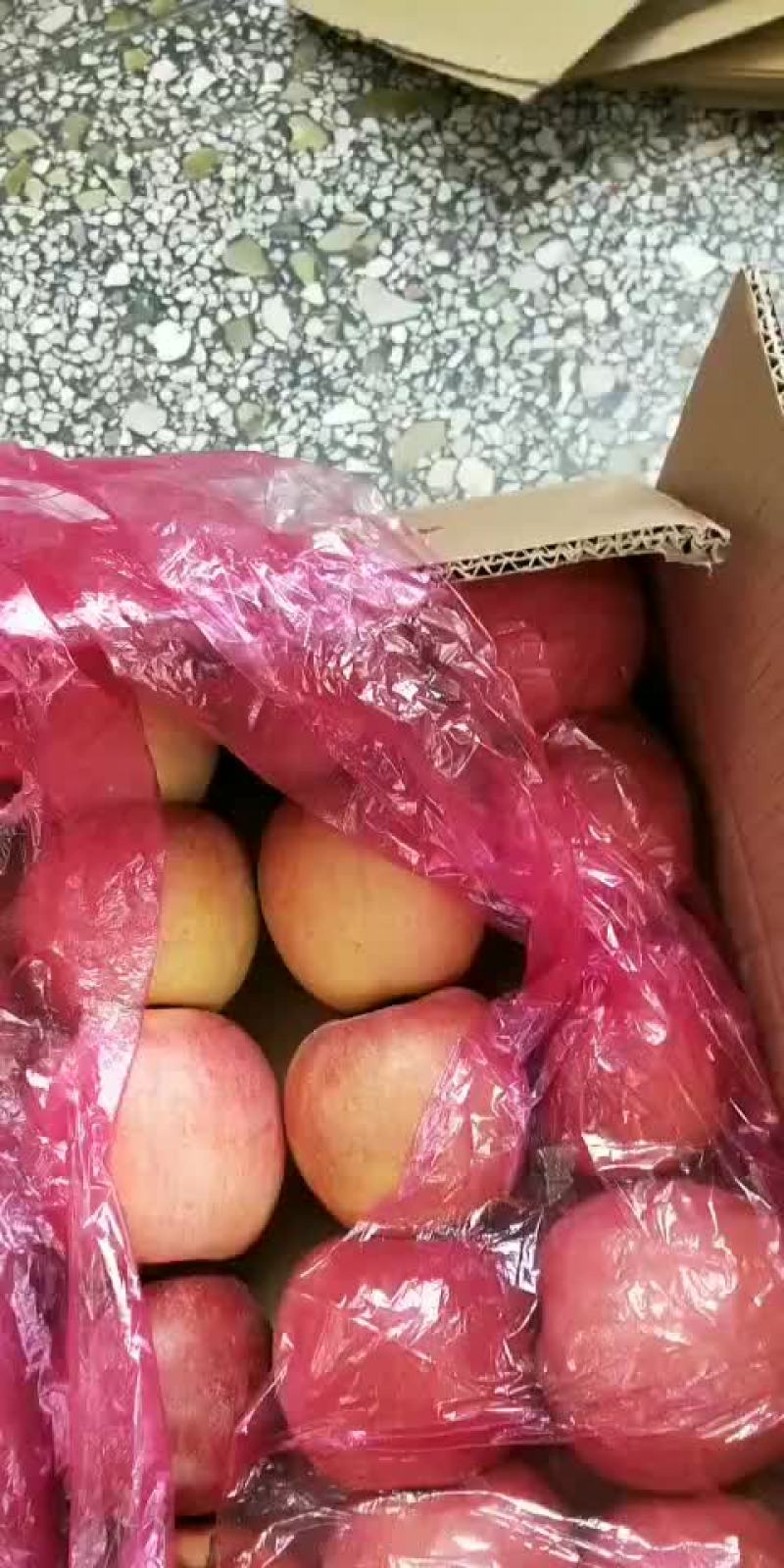 陕西礼泉膜袋，纸夹膜纸袋红富士苹果，冷库货大量现货