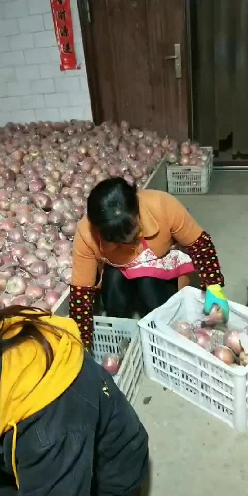 陕西礼泉膜袋，纸夹膜纸袋红富士苹果，冷库货大量现货
