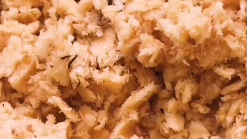 供青虻8号黑水虻卵