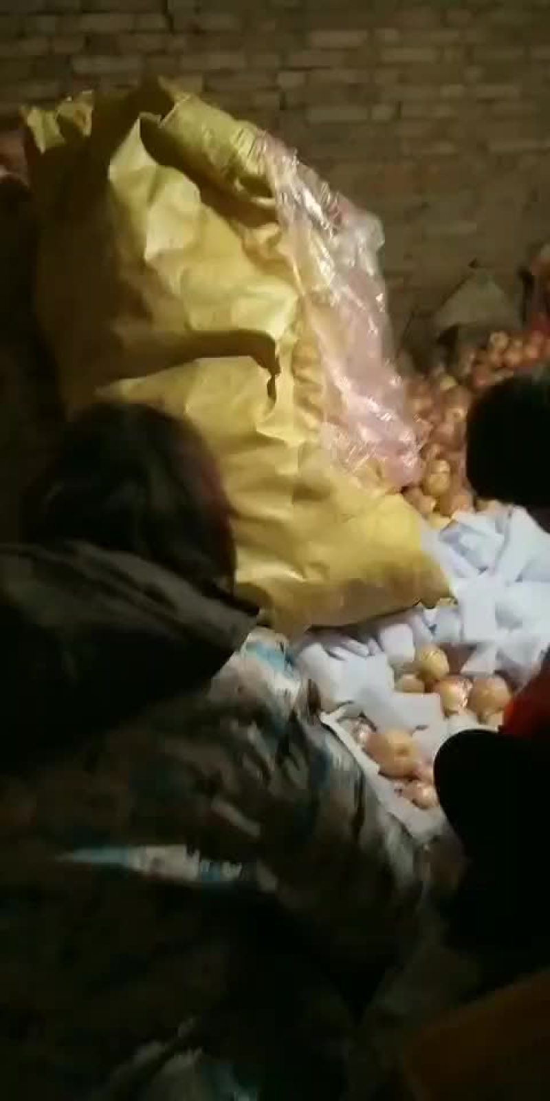 陕西礼泉膜袋，纸夹膜纸袋红富士苹果，冷库货大量现货