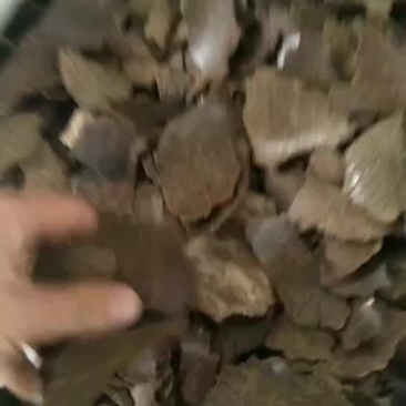 葫麻饼