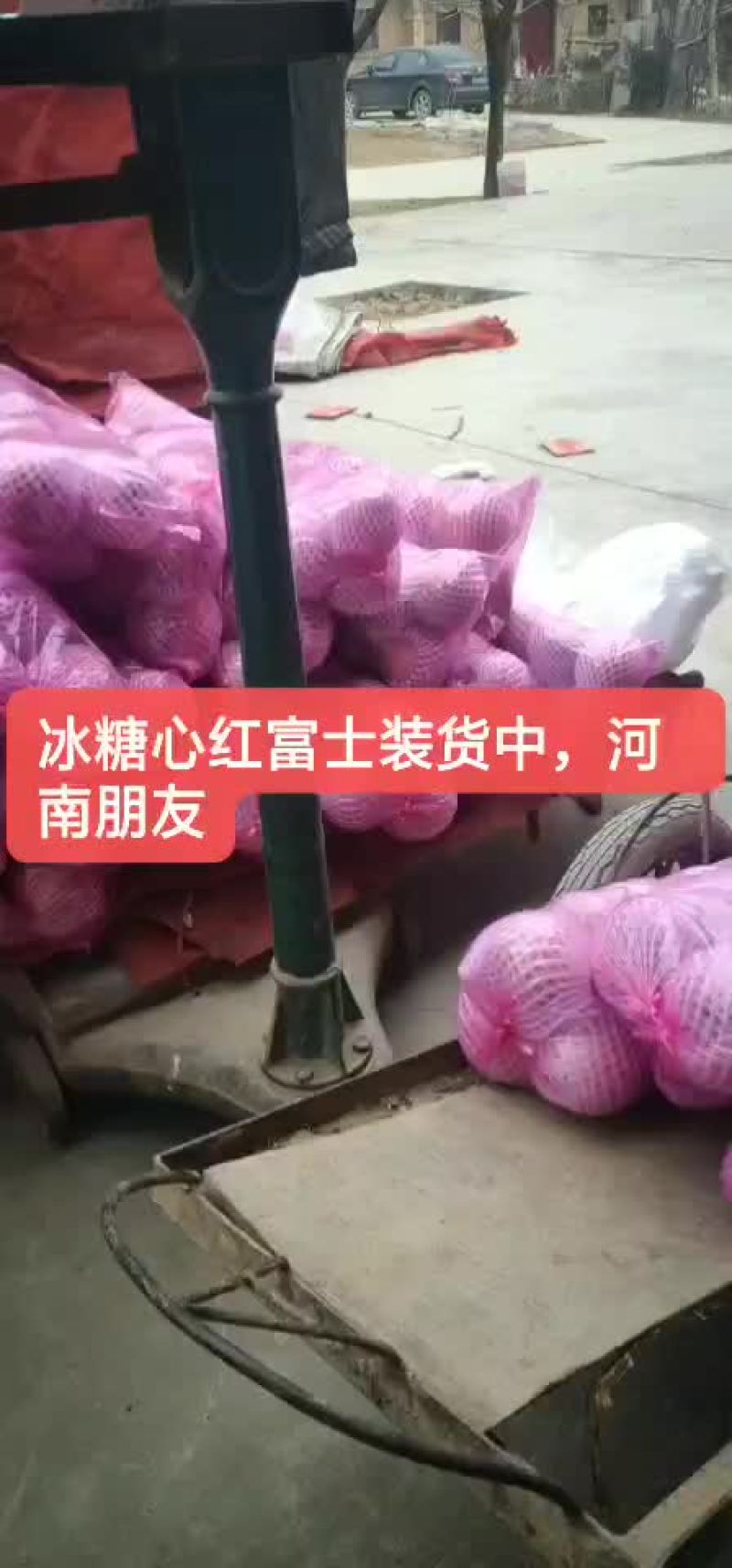 陕西礼泉膜袋，纸夹膜纸袋红富士苹果，冷库货大量现货