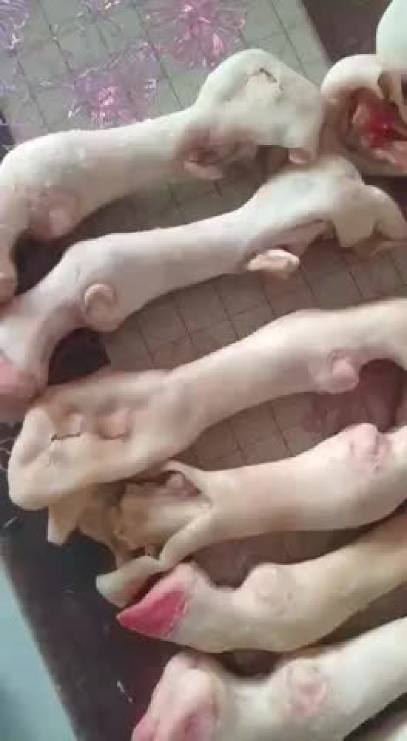 羊蹄
