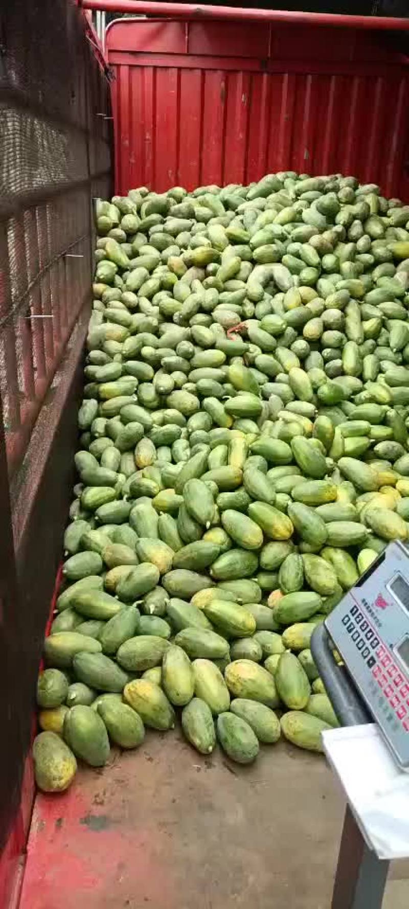 还有老板需要吗？