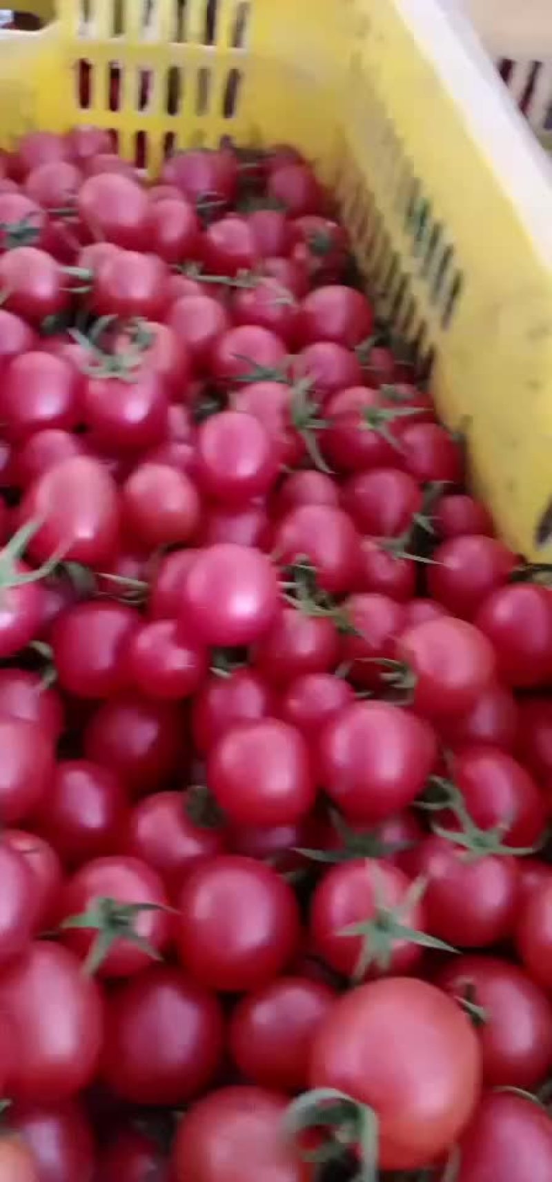 千禧