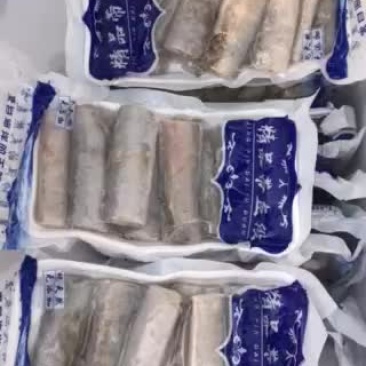 带鱼段